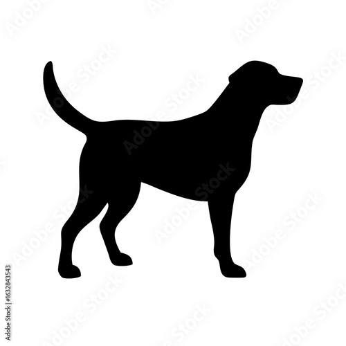 Dog: The Loyal Companion and Beloved Pet