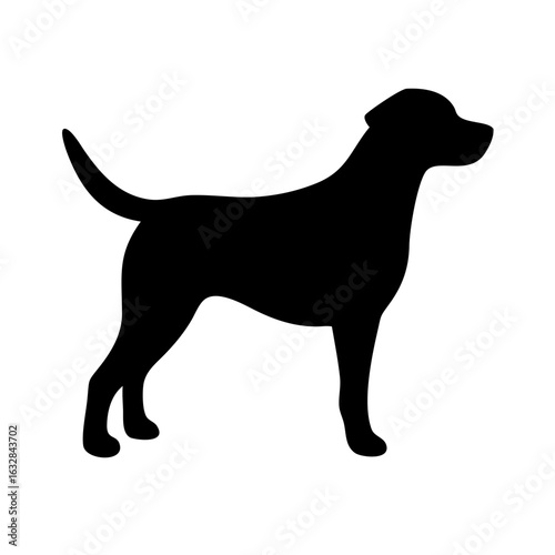 Dog: The Loyal Companion and Beloved Pet