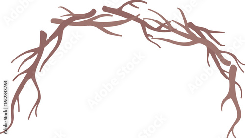 Curved Branches Frame
