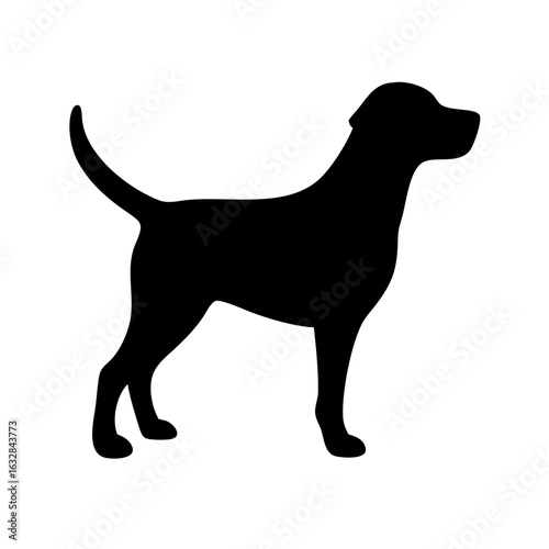 Dog: The Loyal Companion and Beloved Pet