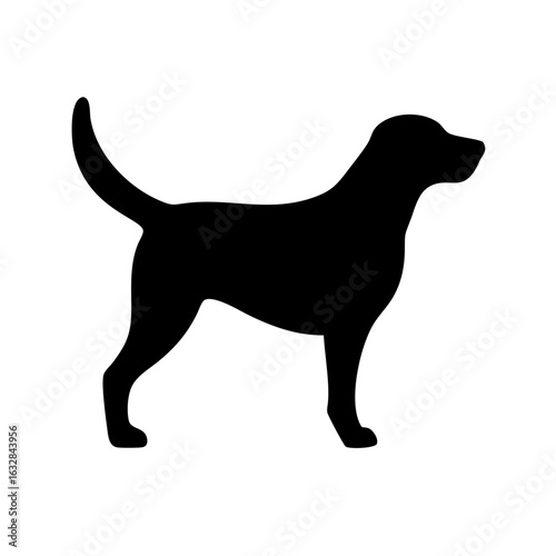 Dog: The Loyal Companion and Beloved Pet