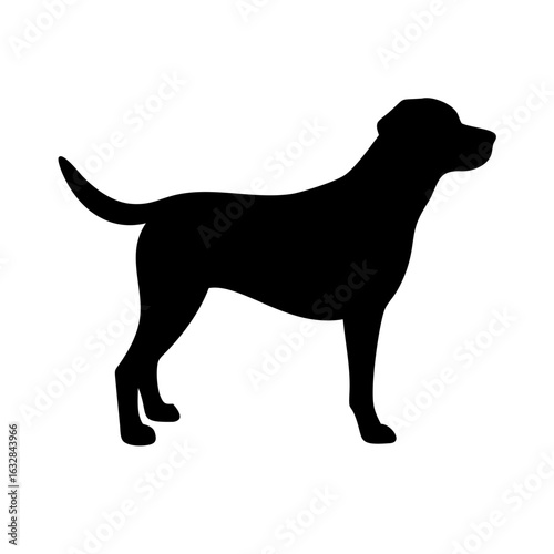 Dog: The Loyal Companion and Beloved Pet