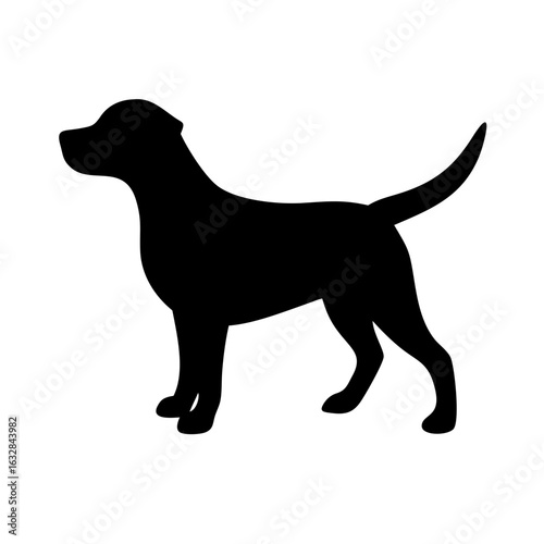 Dog: The Loyal Companion and Beloved Pet