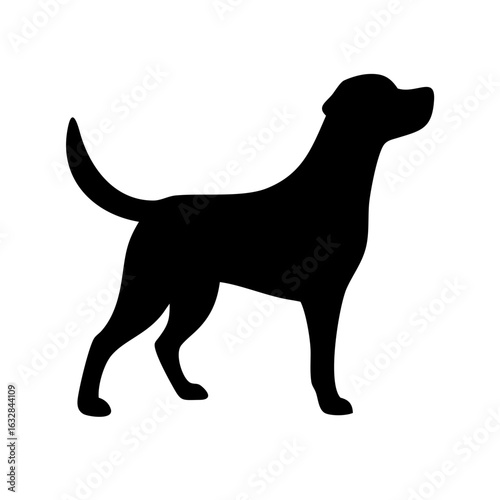 Dog: The Loyal Companion and Beloved Pet