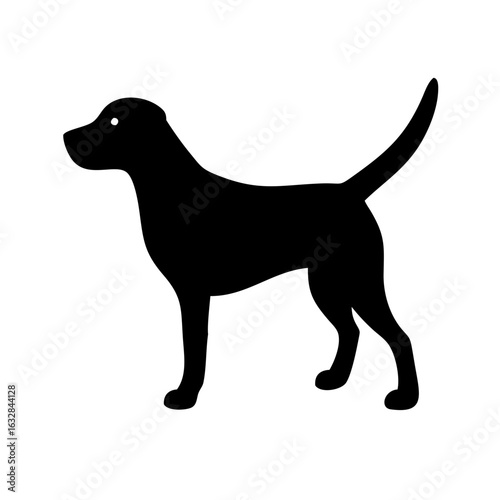 Dog: The Loyal Companion and Beloved Pet