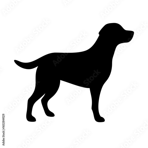 Dog: The Loyal Companion and Beloved Pet