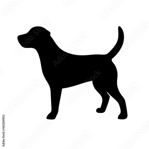 Dog: The Loyal Companion and Beloved Pet