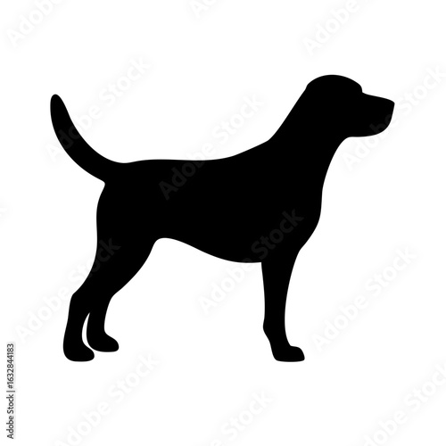 Dog: The Loyal Companion and Beloved Pet
