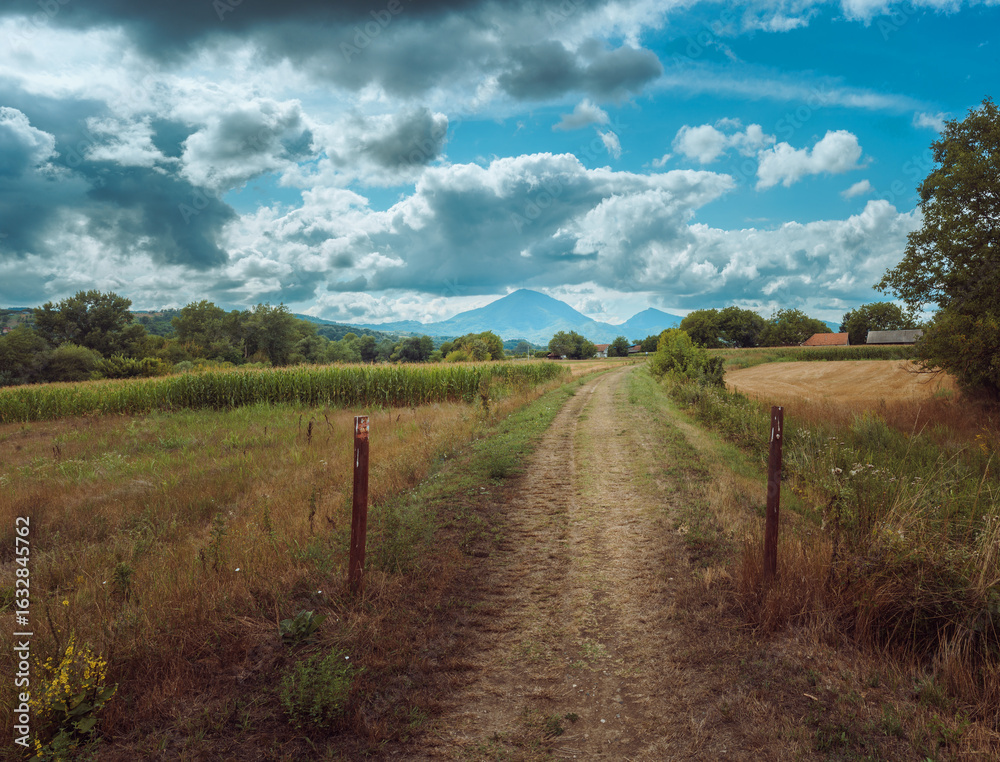 Naklejka premium Dirt country road for walking
