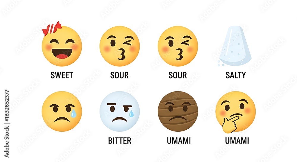 Fototapeta premium Taste Profile Food Chart – Vector Illustration