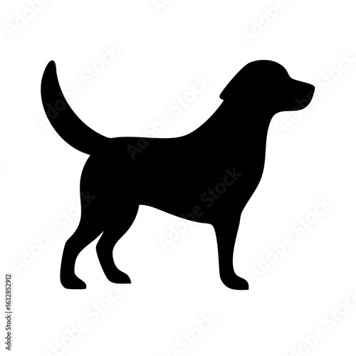 Dog: The Loyal Companion and Beloved Pet
