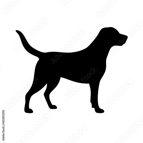 Dog: The Loyal Companion and Beloved Pet