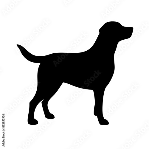 Dog: The Loyal Companion and Beloved Pet