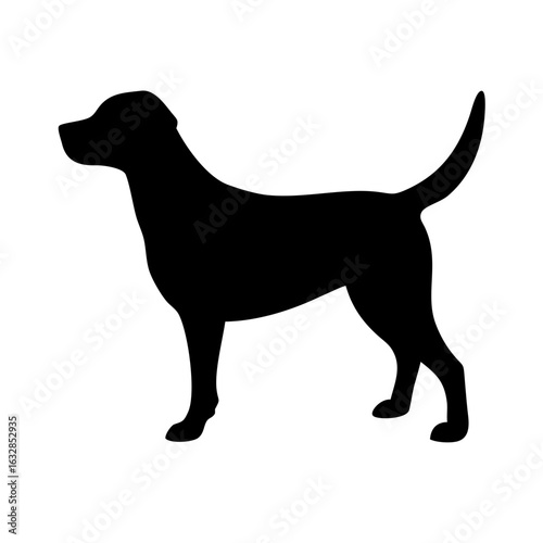Dog: The Loyal Companion and Beloved Pet