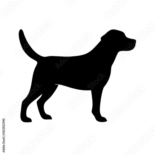 Dog: The Loyal Companion and Beloved Pet