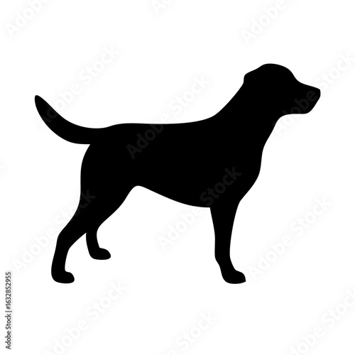 Dog: The Loyal Companion and Beloved Pet
