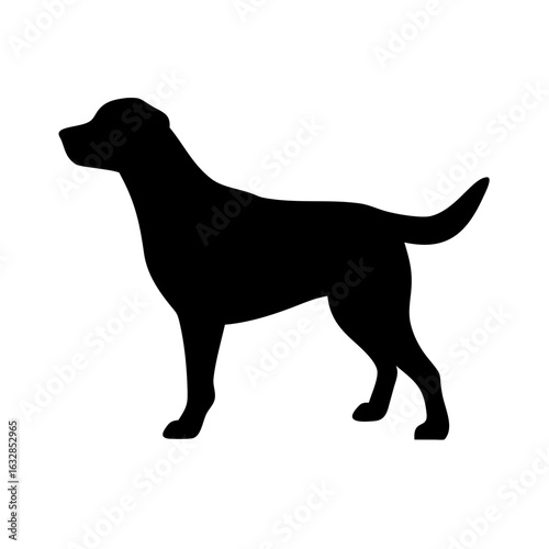 Dog: The Loyal Companion and Beloved Pet