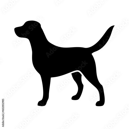 Dog: The Loyal Companion and Beloved Pet