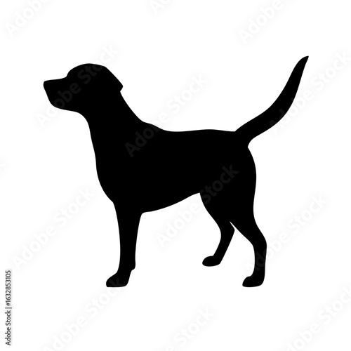 Dog: The Loyal Companion and Beloved Pet