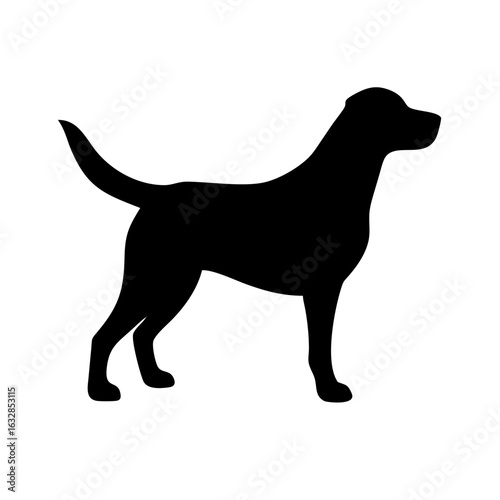 Dog: The Loyal Companion and Beloved Pet