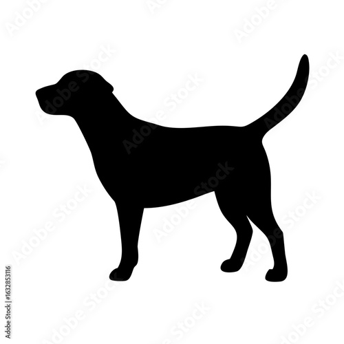 Dog: The Loyal Companion and Beloved Pet