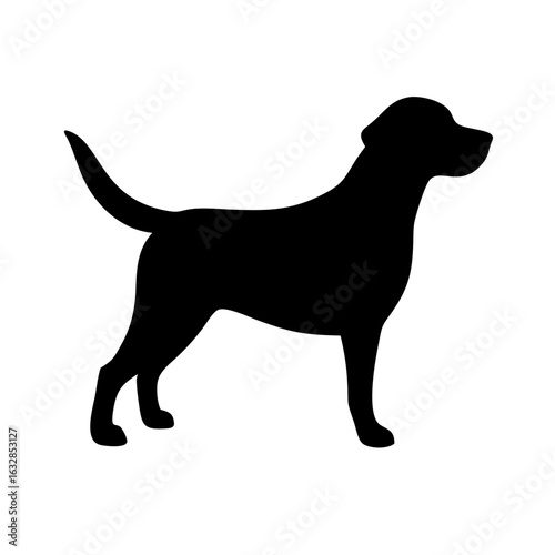 Dog: The Loyal Companion and Beloved Pet