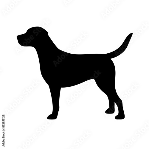 Dog: The Loyal Companion and Beloved Pet
