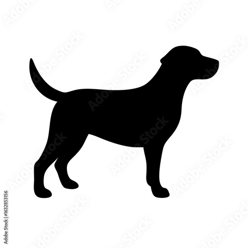 Dog: The Loyal Companion and Beloved Pet