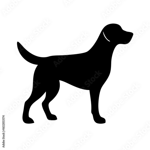 Dog: The Loyal Companion and Beloved Pet