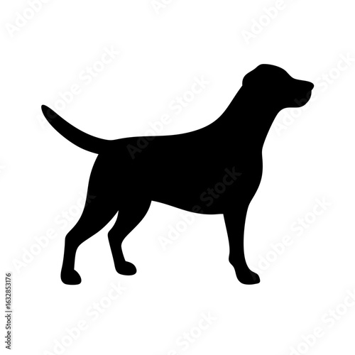Dog: The Loyal Companion and Beloved Pet
