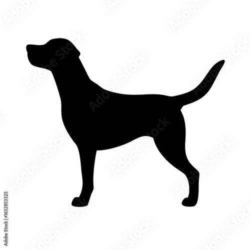 Dog: The Loyal Companion and Beloved Pet