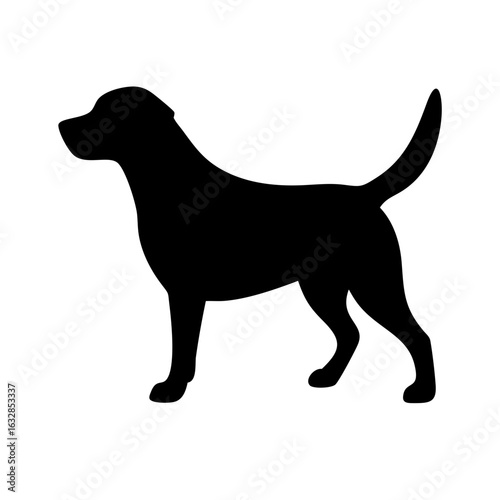 Dog: The Loyal Companion and Beloved Pet