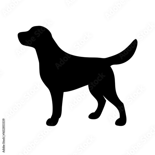 Dog: The Loyal Companion and Beloved Pet