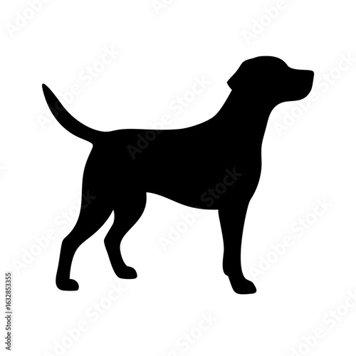 Dog: The Loyal Companion and Beloved Pet