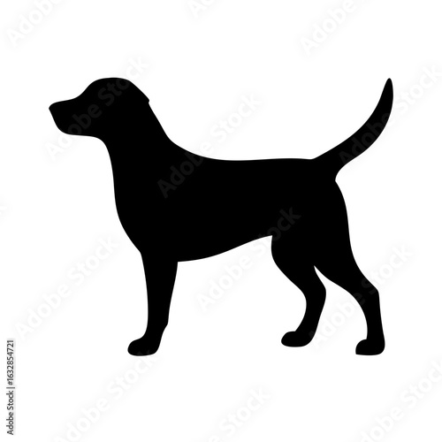 Dog: The Loyal Companion and Beloved Pet