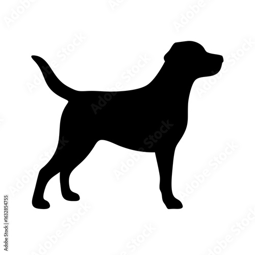 Dog: The Loyal Companion and Beloved Pet