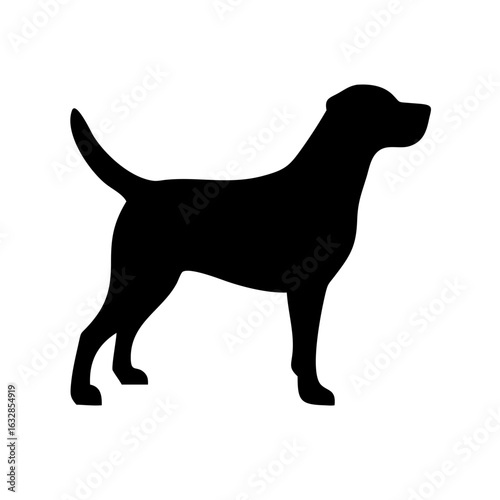 Dog: The Loyal Companion and Beloved Pet