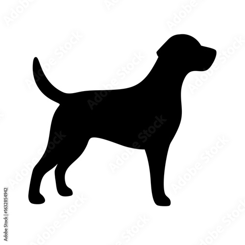Dog: The Loyal Companion and Beloved Pet