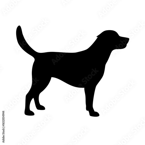 Dog: The Loyal Companion and Beloved Pet