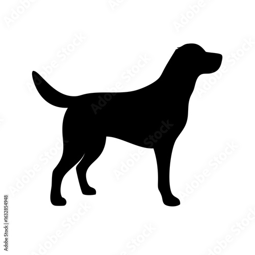 Dog: The Loyal Companion and Beloved Pet
