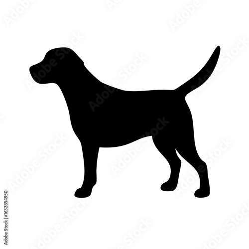 Dog: The Loyal Companion and Beloved Pet