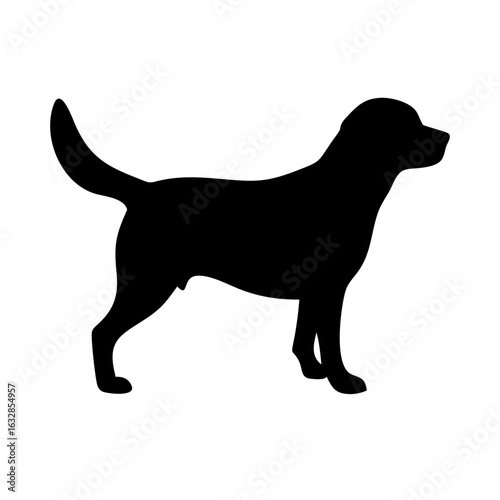 Dog: The Loyal Companion and Beloved Pet