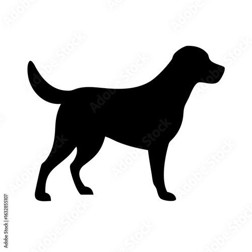 Dog: The Loyal Companion and Beloved Pet