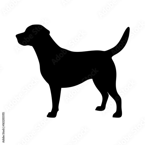 Dog: The Loyal Companion and Beloved Pet