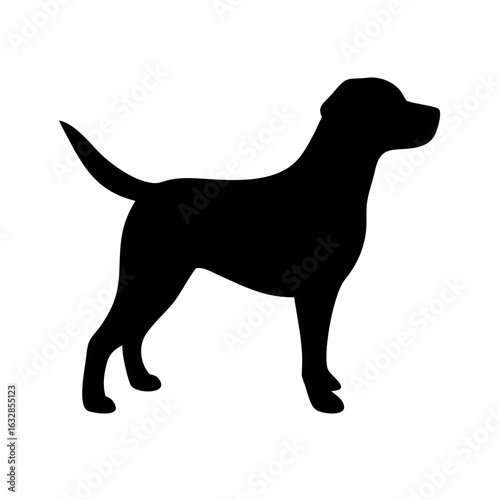 Dog: The Loyal Companion and Beloved Pet