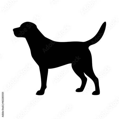 Dog: The Loyal Companion and Beloved Pet