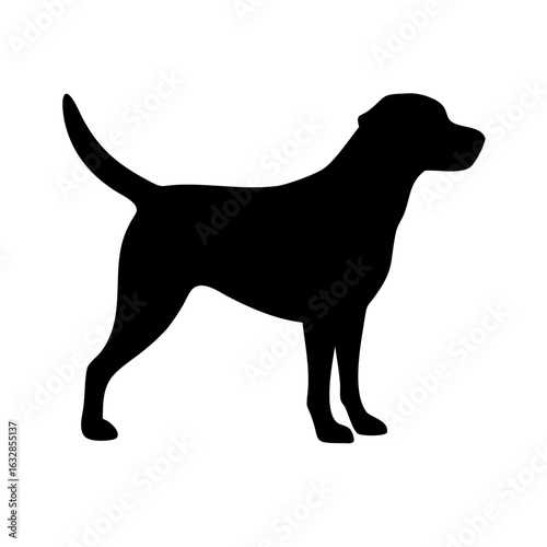 Dog: The Loyal Companion and Beloved Pet