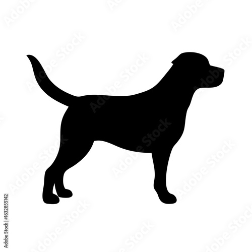 Dog: The Loyal Companion and Beloved Pet