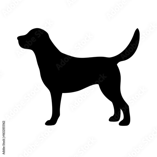 Dog: The Loyal Companion and Beloved Pet