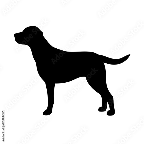 Dog: The Loyal Companion and Beloved Pet